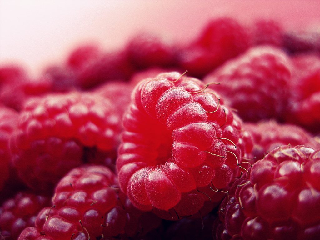 The current image has no alternative text. The file name is: pexels-pixabay-52536-scaled.jpg